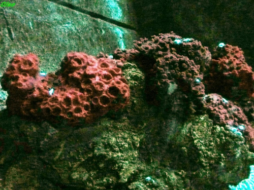 06.08.2008