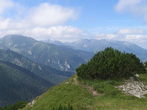 Widoki z okolic Szerokiej Przełęczy Bielskiej #Góry #Tatry