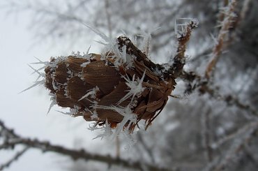 Szyszunia :) #lód #Sztolnie #zima