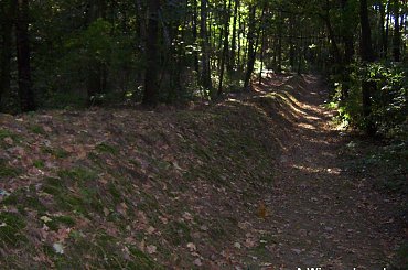 #grobowce #PucharyLejkowate #Sarnowo