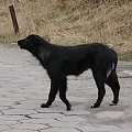 Mama Rasty jeszcze na ulicy