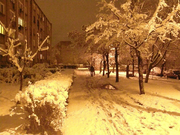 Pierwszy śnieg - grudzień 2009