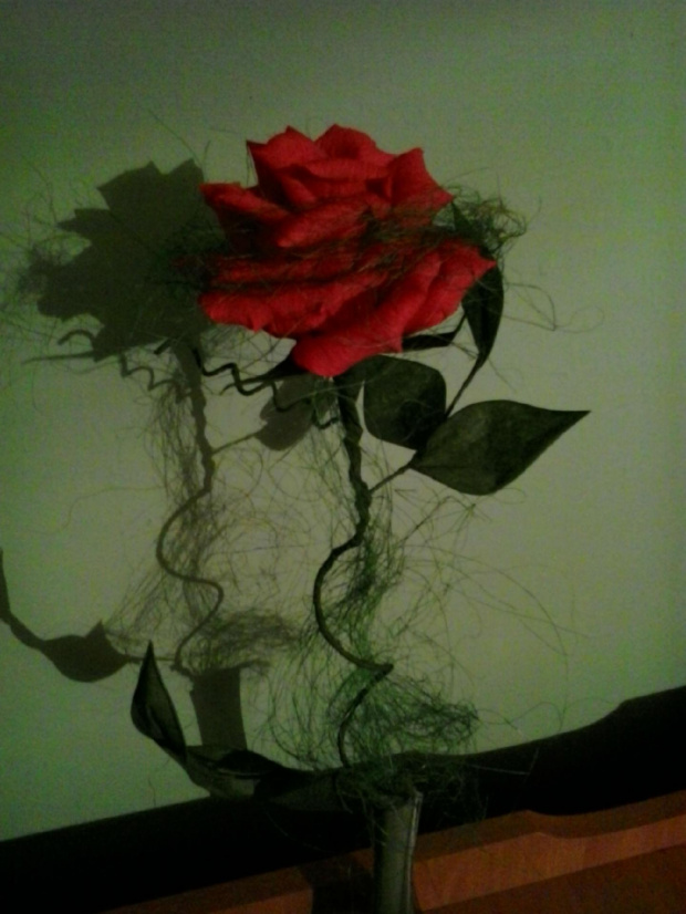 #bibuła #bukiety #krepina #kwiaty #róże