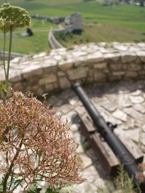 Zamek Spisski hrad na Słowacji (10)