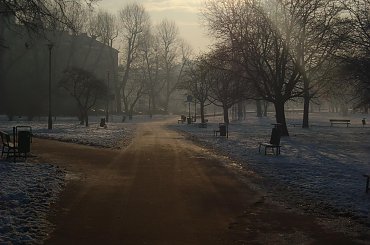 #ZABAWAŚWIATŁEM #ZIMA #DRZEWA