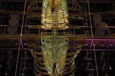 Instalacja “Opertus
Lunula Umbra” (Hidden
shadow of moon - Ukryty
cień księżyca)
koreańskiego artysty
Choe U-Ram nad
Szachownicą w Pasażu
Starego Browaru #ART #STARYBROWAR #robale