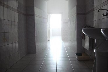 #lochy #zamki #DziwneZwierzęta #krajobrazy