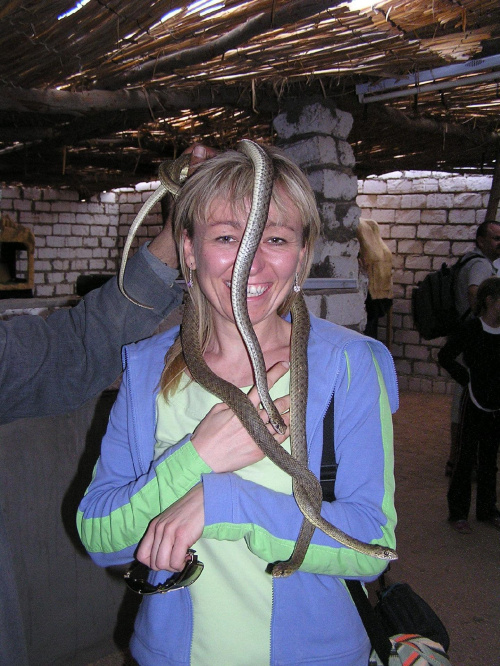 Inne ziemskie wcielenie Gorgony z włosami w postaci jadowitych węży :-) #Egipt #safari #egzotyka #węże