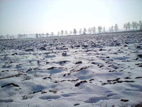 #zima #PoraRoku #pole #śnieg #zimno #mróz #lody #krajobraz #piękne