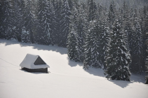 #Zima #śnieg #tatry #góry #MaleCiche #BukowinaTatrzańska #Podhale