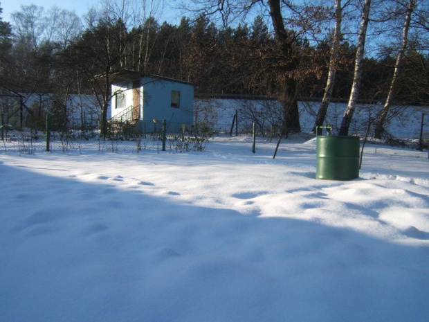 Ogródki działkowe w śniegu #działka #zima