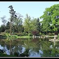 japan garden - Ogród Japoński we Wrocławiu