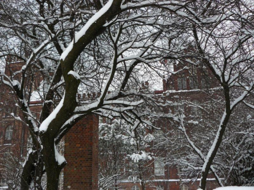 Dwudniowa zima...i komu to przeszkadzało???
W drodze do pracy. #zima #widoki #śnieg #Gdańsk