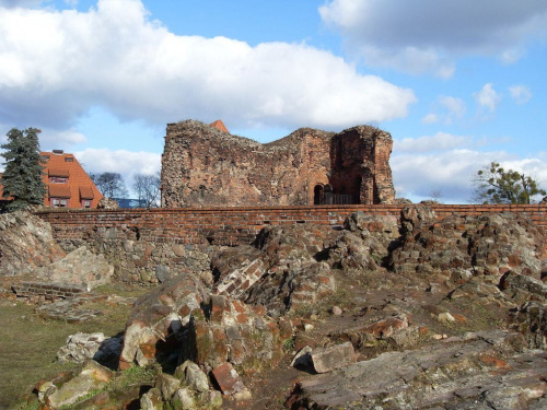 ruiny zamku krzyżackiego #Toruń