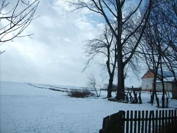 Zimowy spacerpo Garbach Grabowieckich