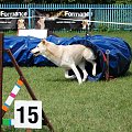 PP Agility Białystok 22.07.2007