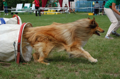 PP Agility Białystok 22.07.2007