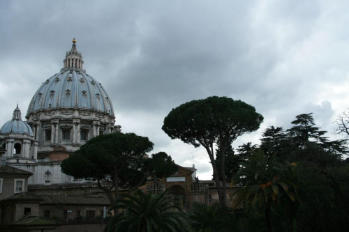 Kopula Bazyliki z innej strony #bazylika #Rzym #Watykan #roślinki #palma #egzotyczne #Niebo #chmurki