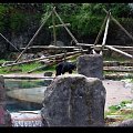 Belfast Zoo - 07/06/2008