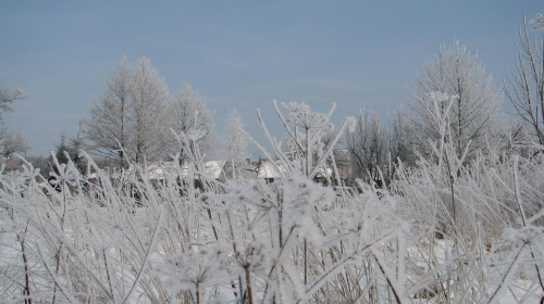 krajobraz zimowy w okolicy Małkini #krajobraz #zima #szron