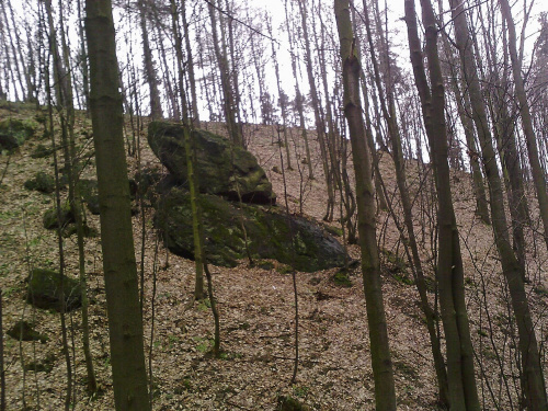 #las #skały
