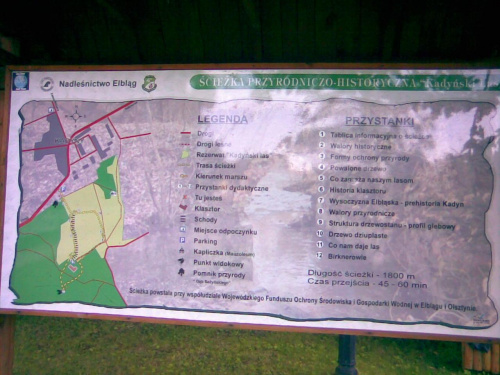 Kadyny - tablica z mapką ścieżki przyrodniczo- historycznej Las Kadyński