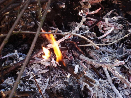 #ognisko #ogień