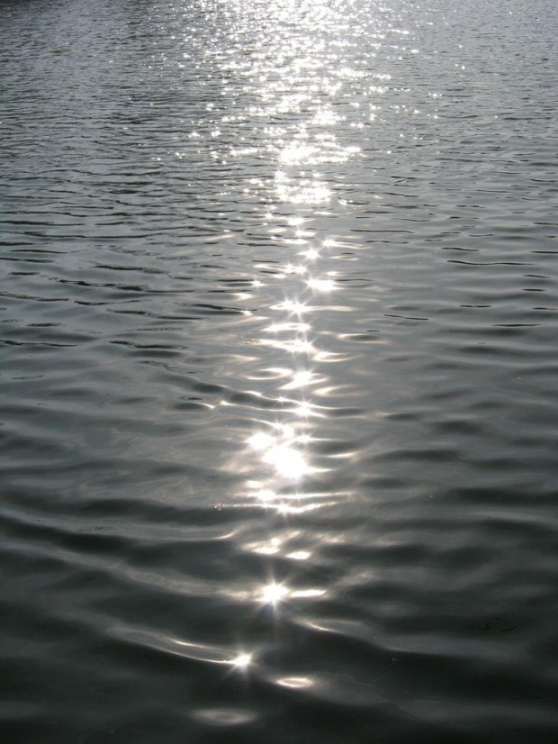 Staw-Krzyki #woda #słońce