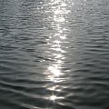 Staw-Krzyki #woda #słońce